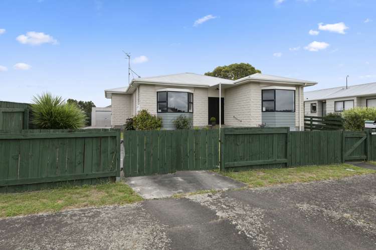 7 Douglas Street Levin_10