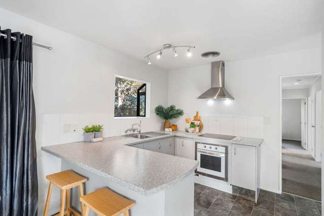 257b Maungatapu Road Maungatapu_4