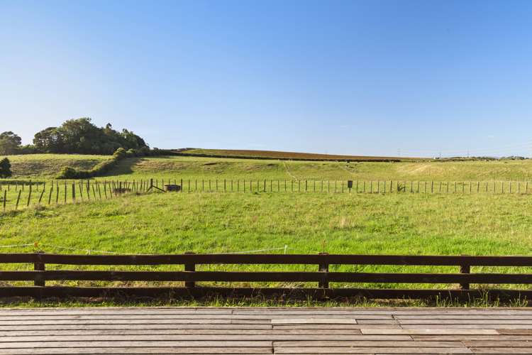 7 Punga Punga Road Pukekawa_6