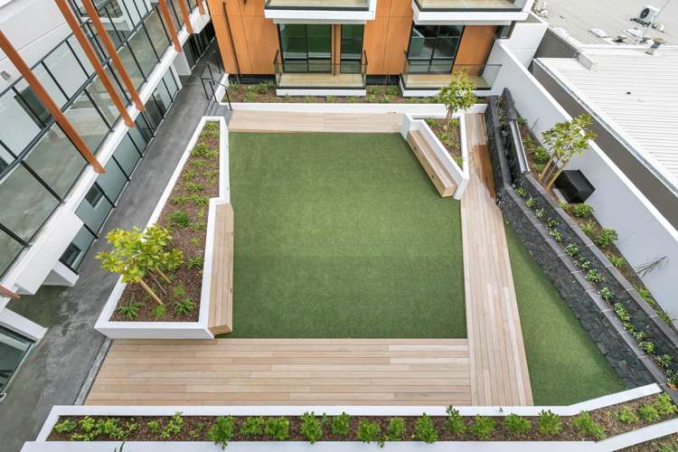 326/43 Edwin Street Mount Eden_11