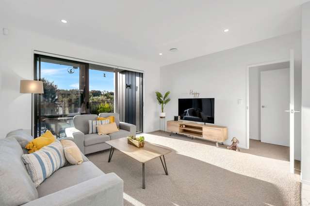 48 Whimbrel Road Flat Bush_1