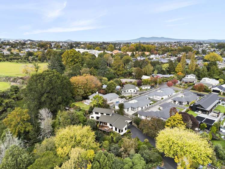 20A Donny Avenue Chartwell_20