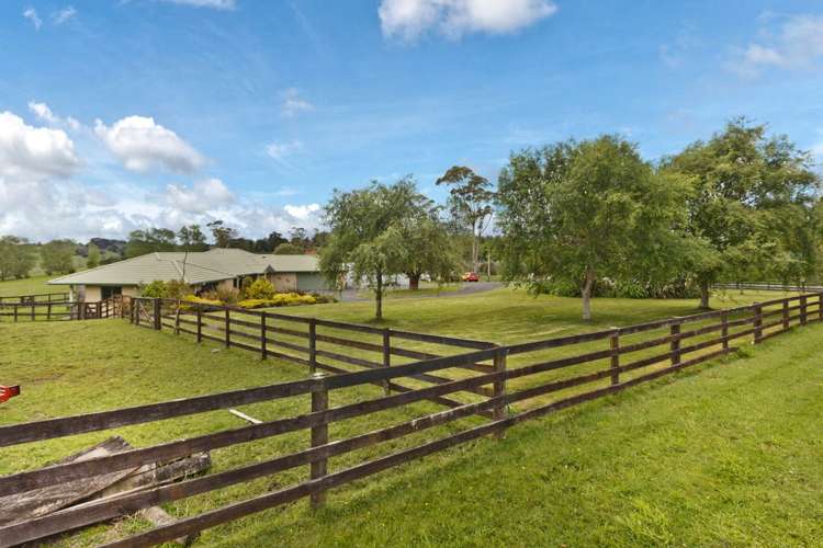 9 Wilks Road Dairy Flat_7