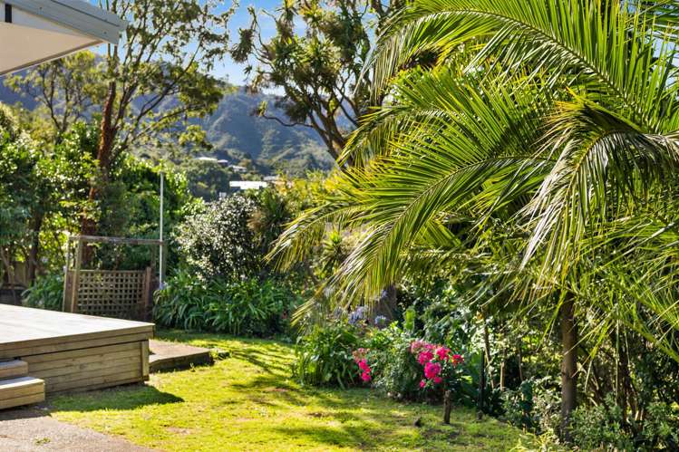 59 York Street Picton_30