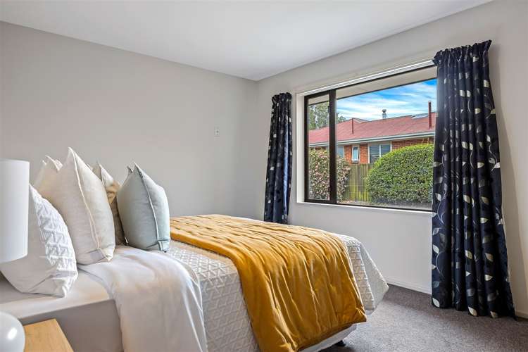 7b Earl Street Hillsborough_8