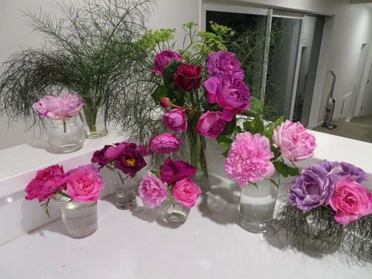 94 Raukawa Road Peka Peka_11