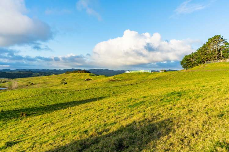 85 Lusk Road Ruawai_17