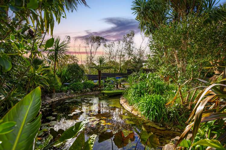 151 Simpson Road Henderson Valley_38