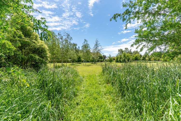 29 Philip Street Carterton_15