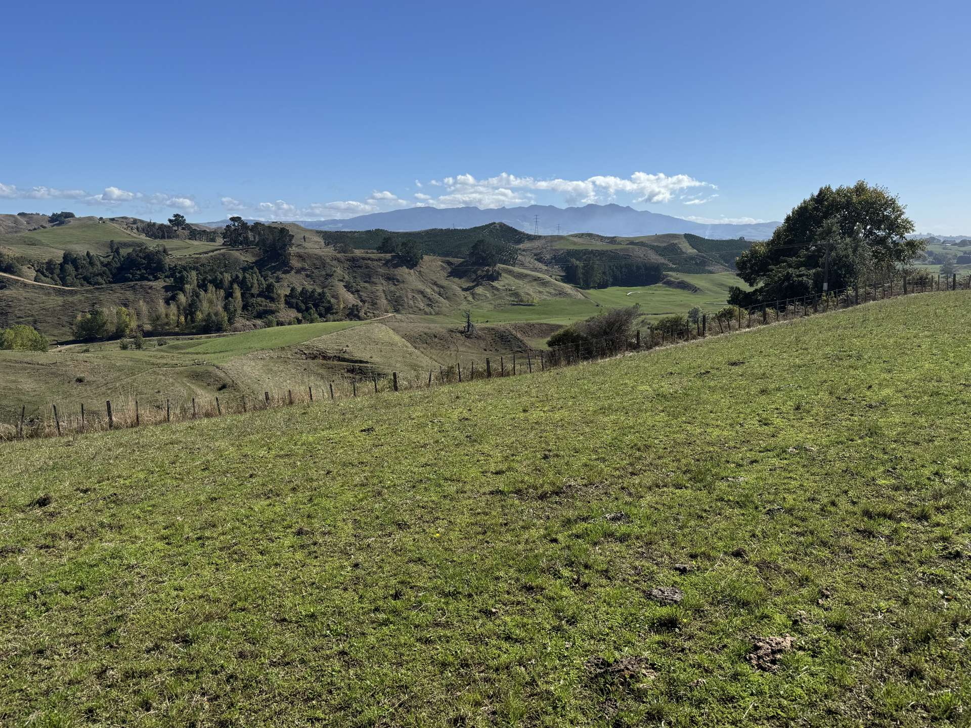 133 Owaikura Road Otorohanga_0