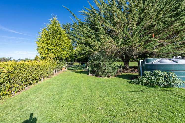 356 Matamau Ormondville Rd Dannevirke_15