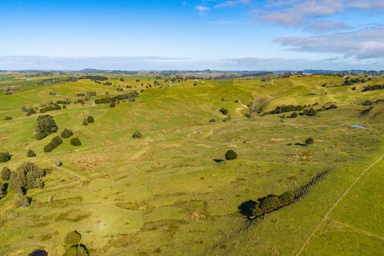 80 Harrison Road Waiotira_25