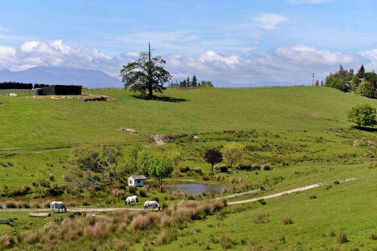 79 Malling Road Redwood Valley_17