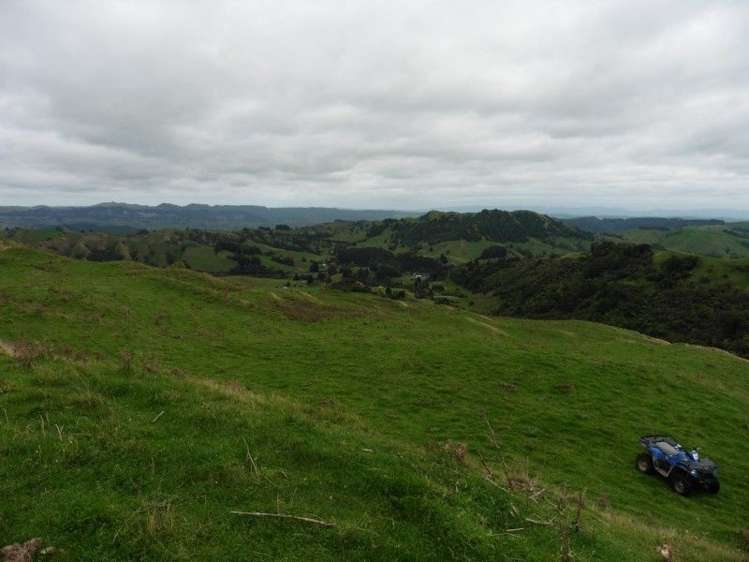 2837 State Highway 4 Aria_16