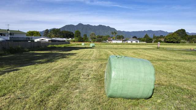 Lot 3/3 and 5 Barker Street Waihou_3