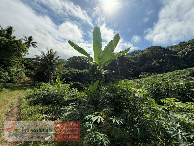 Address withheld Savusavu_12