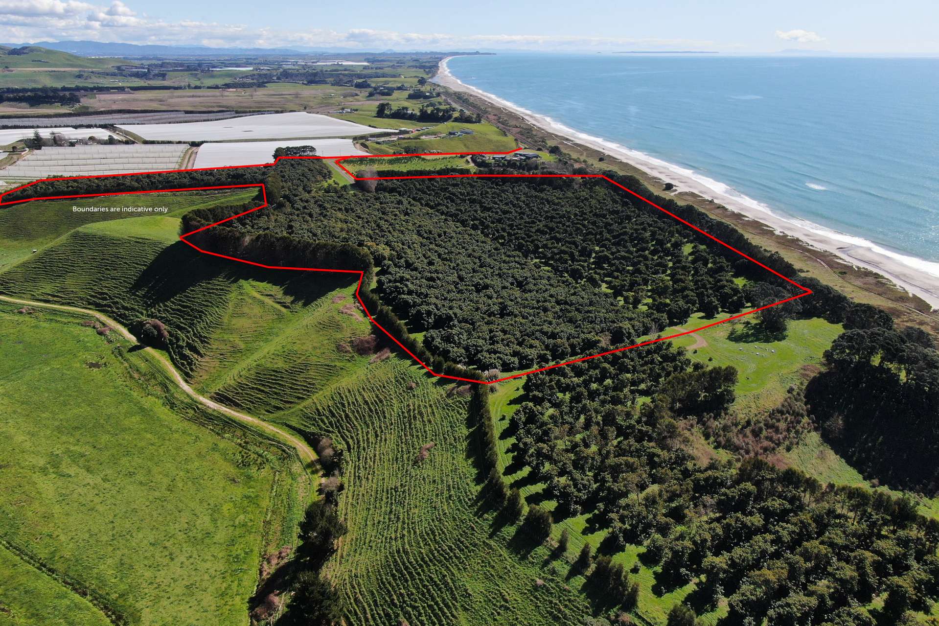 1133 Pacific Coast Highway Pikowai_0