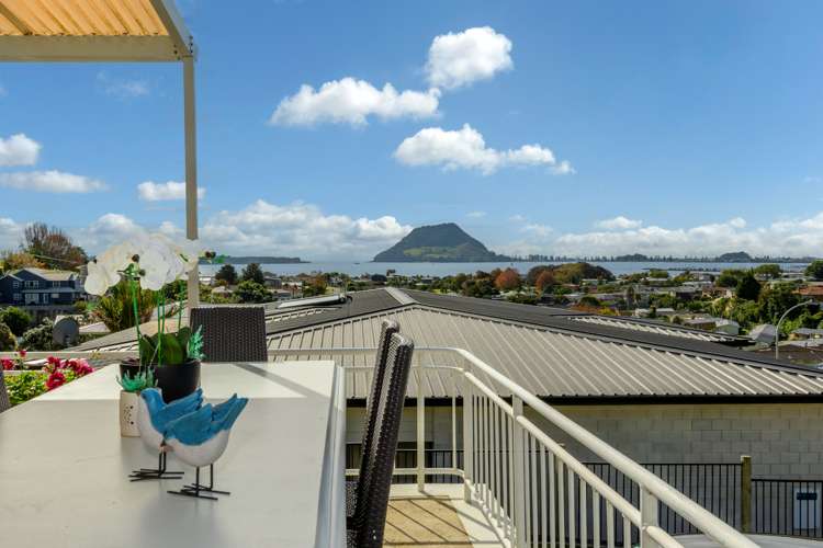 30 Rutherford Street Otumoetai_2