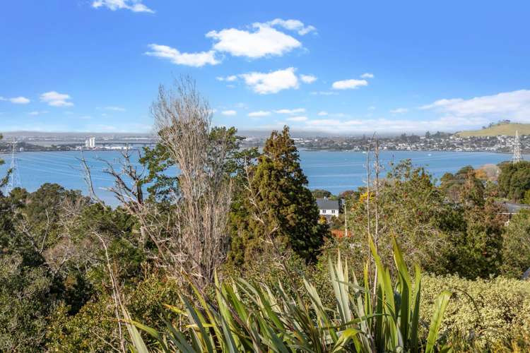 46 Goodall Street Hillsborough_17