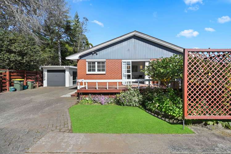 212b Peachgrove Road Claudelands_23