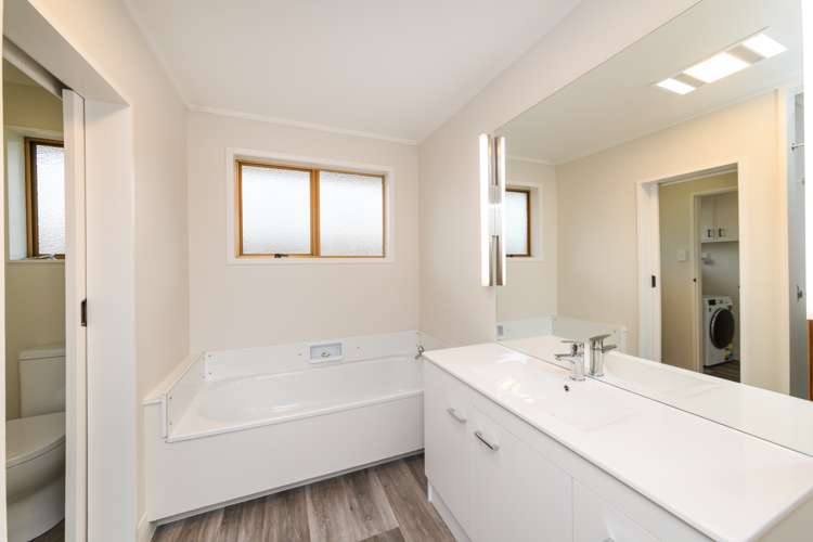 47a Haydon Street Roslyn_13