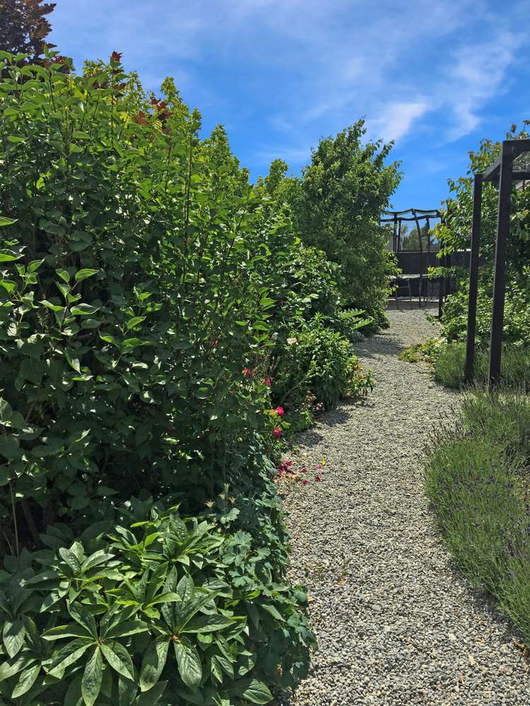 15 Rhoboro Road Twizel_23