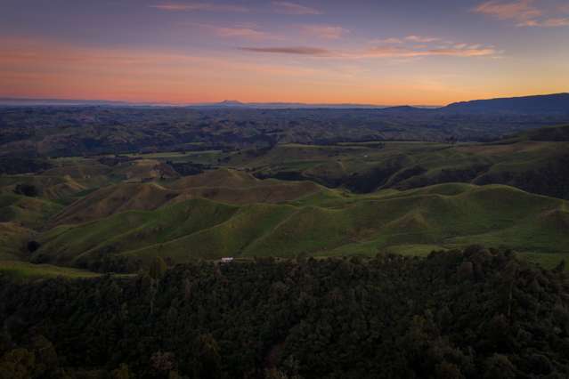 2373 Pohangina Valley East Road Pohangina_1