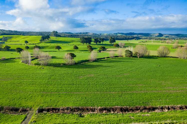 1053 Waihue Road Dargaville Surrounds_7