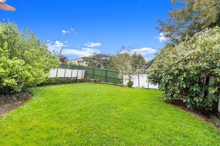 73 John Downs Drive Browns Bay_8