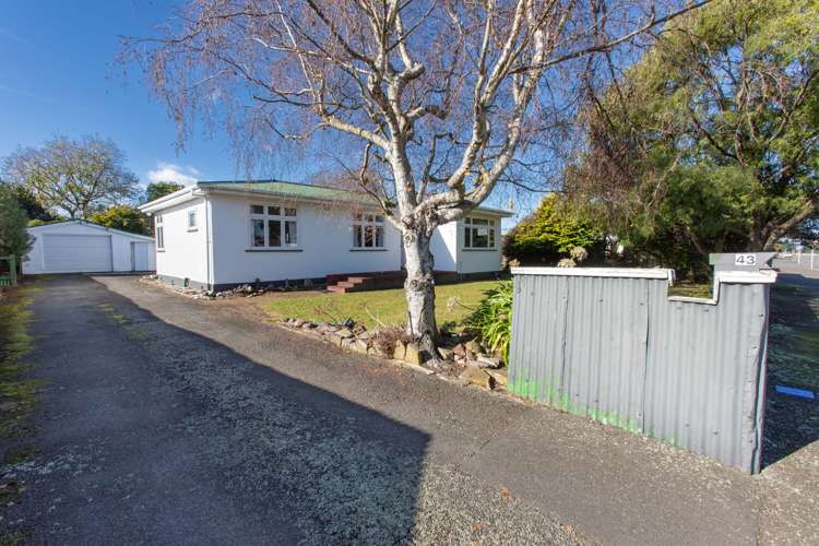 43 Mcphee Street Dannevirke_23