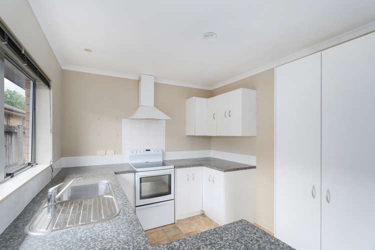 30 Walker Street Waihi_6