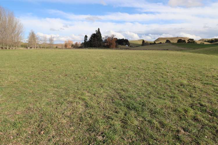 250 Ritchies Road Waihao Downs_17