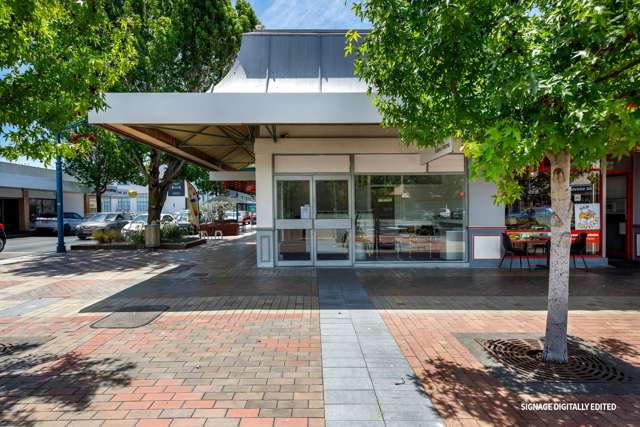 12 George Street Blenheim Central_3