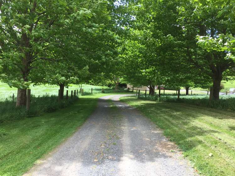 508f Henry Watson Road Richmond Downs_2