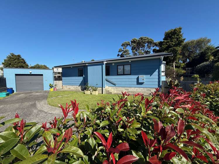 8 John Street Raglan_37