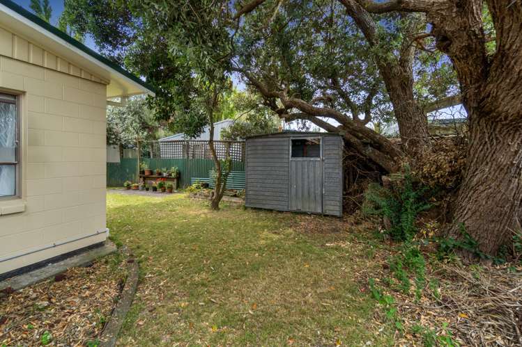 39B Mead Street Avondale_13