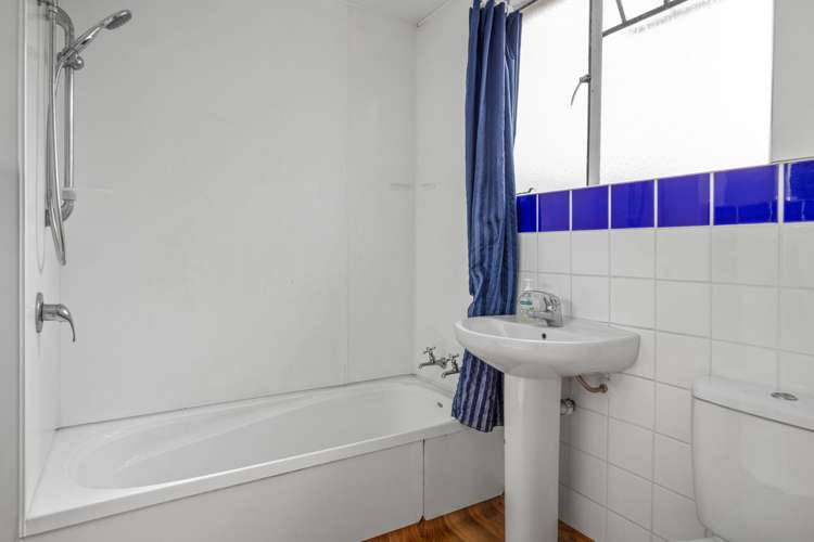 39 Ashworth Street Alexandra_13