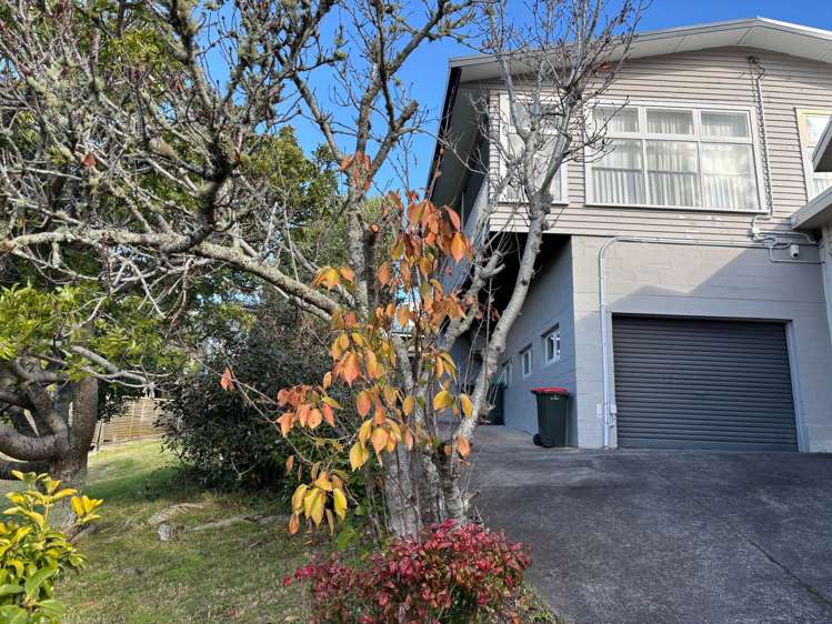 19A Glover Road_0
