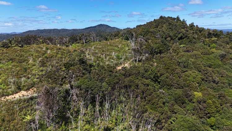 Otangaroa Side Road Kaeo_11
