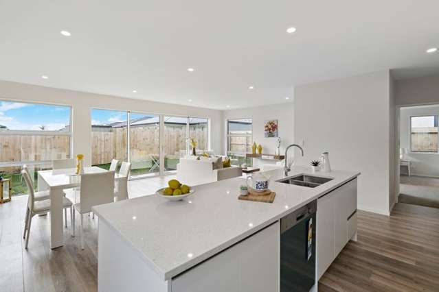 10 Wairepo Street Takanini_1