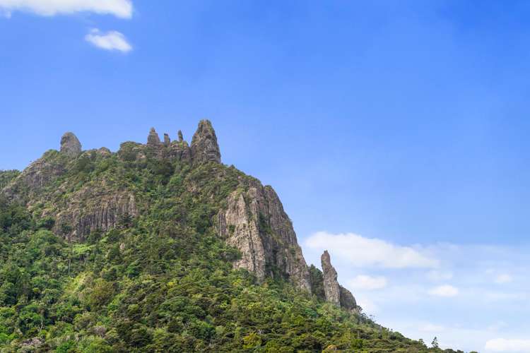 2123 Whangarei Heads Road Whangarei Heads_34