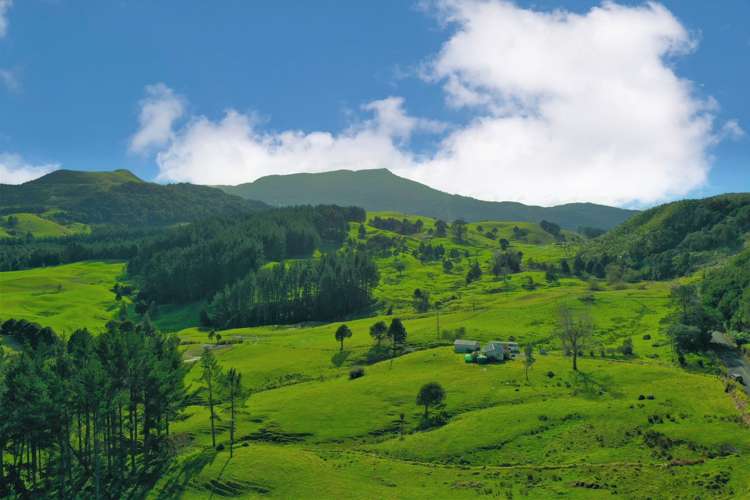 2288 Waihue Road Dargaville Surrounds_4