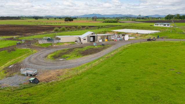 1477D Piako Road Morrinsville_3