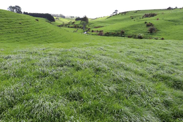 Lt2/310 Henwood Road Bell Block_11