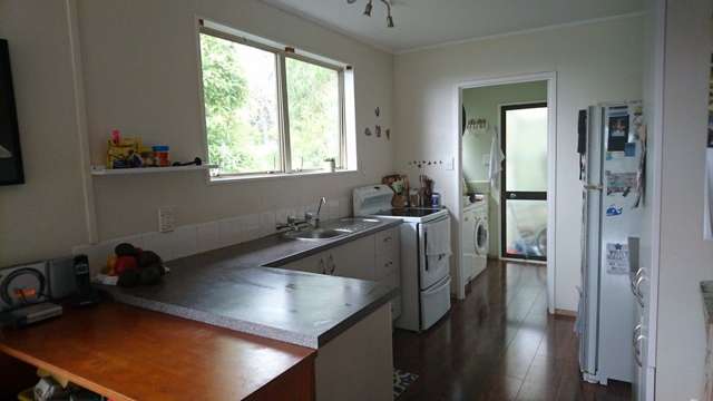 37 Danube Lane Glen Eden_2