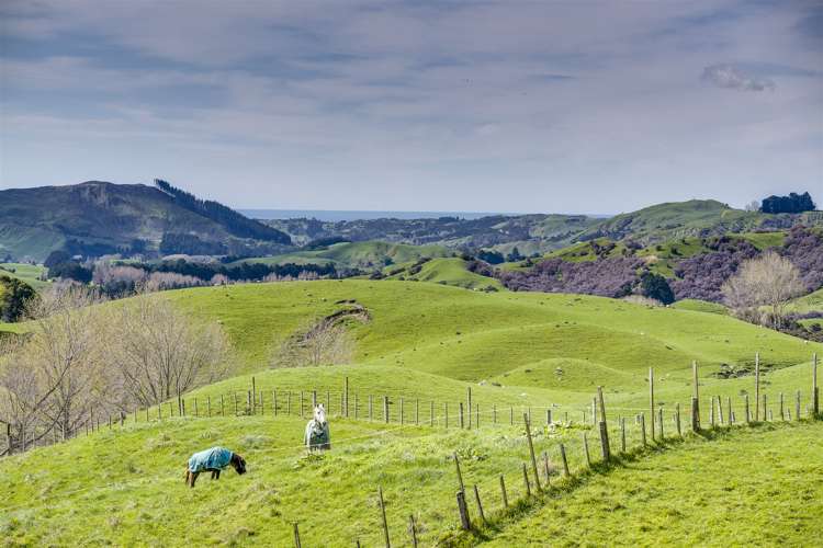 Glengarry Road Hastings Country_5