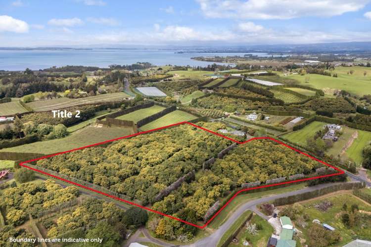 22 Noron Place Katikati_30