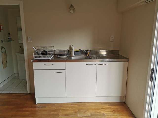 19A Tomo Street New Lynn_1