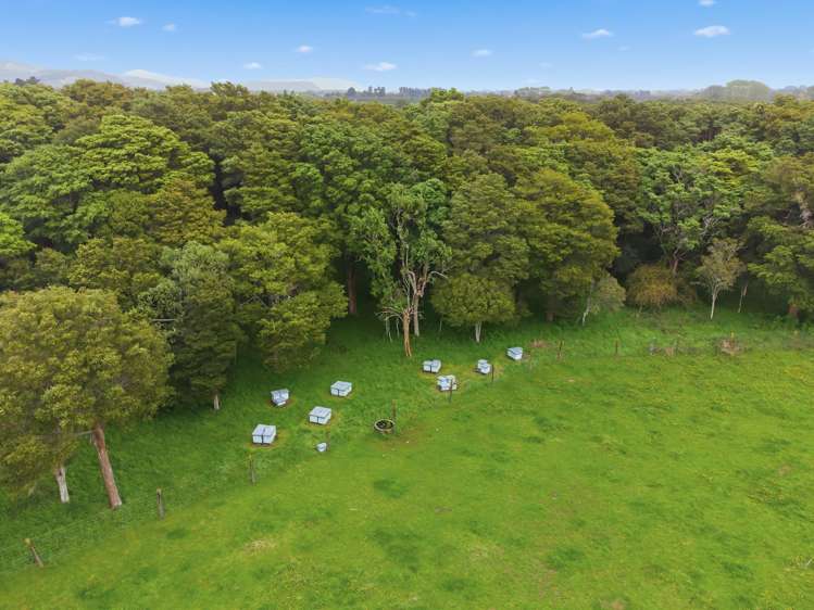 81 Muhunoa West Road Ohau_27