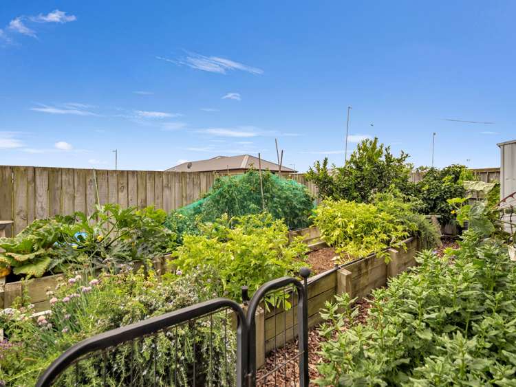 12 Costello Drive Ngatea_24